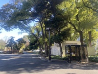 🚶🏻【日比谷公園】朝さんぽ と カフェトーク