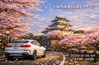 【3/20(金)開催】小田原城で春爛漫🌸絶景お花見ドライブ！初心者・友達づくりにも最適な春限定プラン🚗