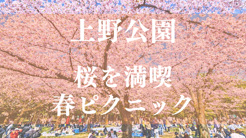 【女性主催】桜を満喫🌸春ピクニック✨