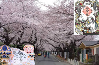 【日暮里で花見と春限定御朱印集め！】3/29 13時半　観音寺〜延命院　【参加費還元！】