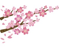 🉐 4/4(土) 🌸新宿でゆるっとお花見交流会🍺男性3,000円〜・女性0円〜🎊一人参加・初参加の方大歓迎🙌 