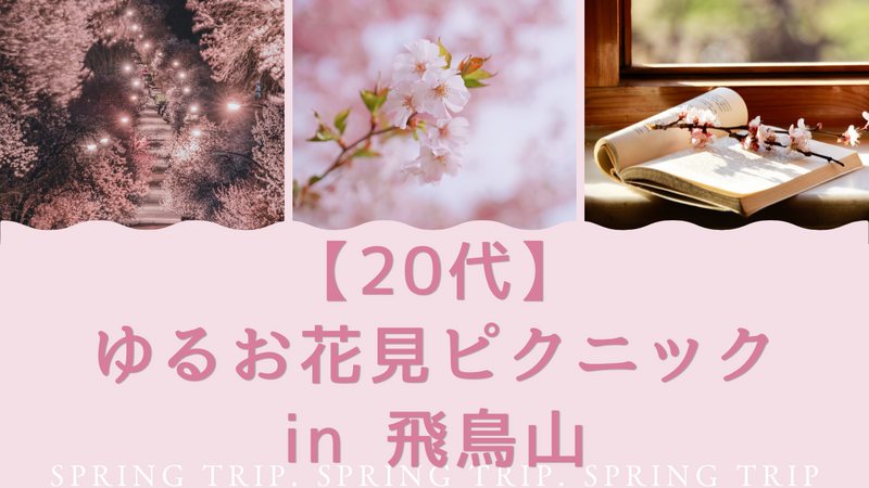 🌸上京20代ゆるお花見ピクニック🌸手ぶらOK in 飛鳥山公園