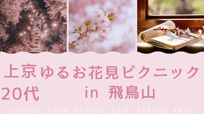 🌸上京20代ゆるお花見ピクニック🌸手ぶらOK in 飛鳥山公園