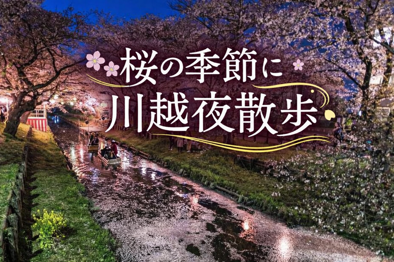 3/22 【川越🌸夜桜🌸散歩】新河岸川の桜×蔵の街並みを歩こう！氷川神社＆時の鐘も歩こう