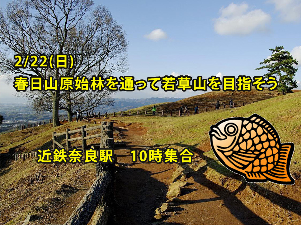 【2026/3/22(日)奈良・春日山原始林🌳】若草山チャレンジ登山