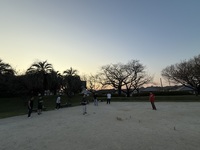 熊本レクレーション部　モルック・ボッチャ