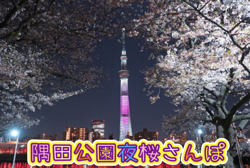 夜桜を愛でながらスカイツリーまで歩こう🌸浅草〜スカイツリー
