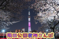 夜桜を愛でながらスカイツリーまで歩こう🌸浅草〜スカイツリー