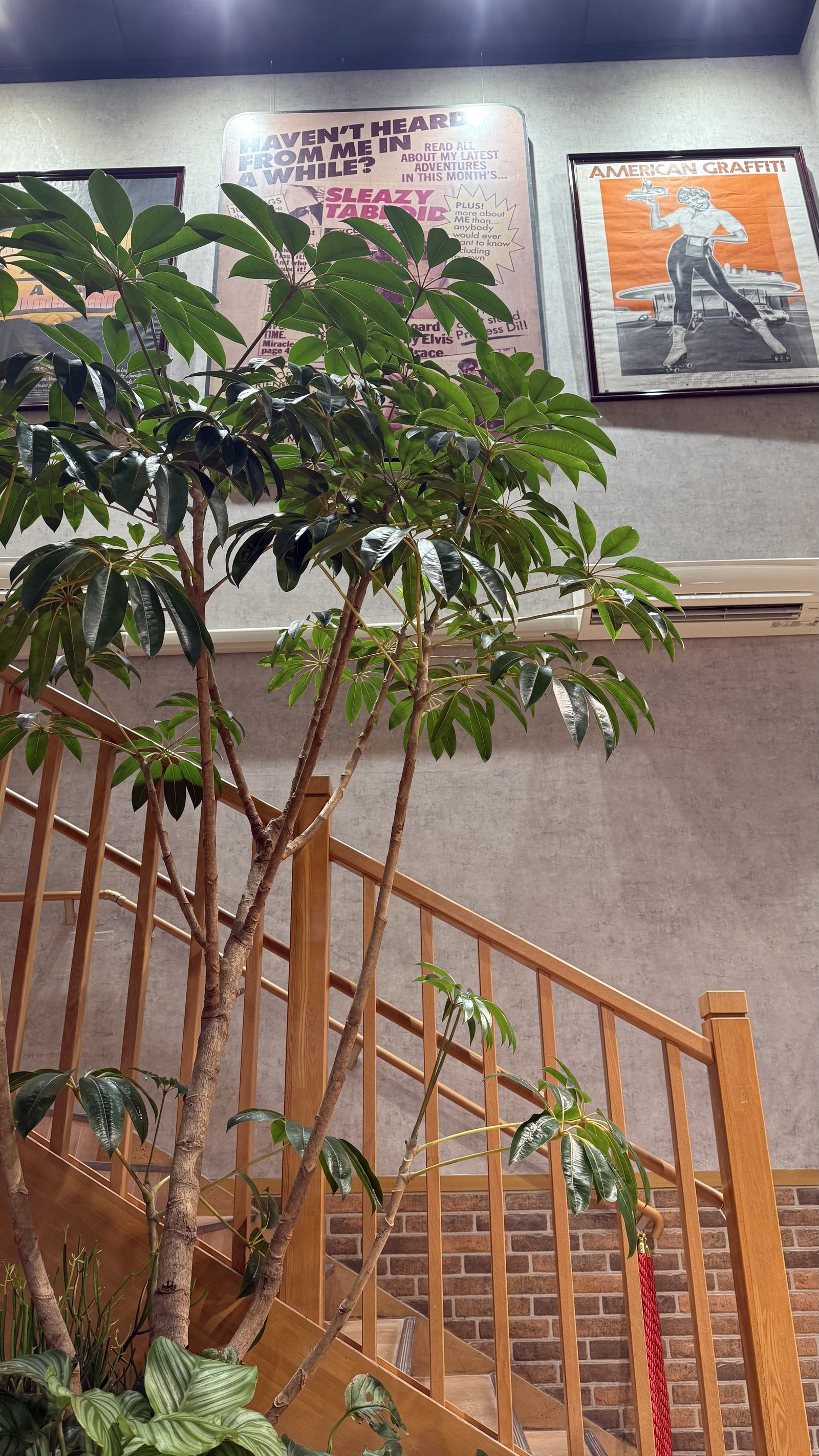 【3/20開催】Anchor Cafe貸切🌟グルメ好き集まれ！特別フード交流会で秘密の新メニュー体験✨