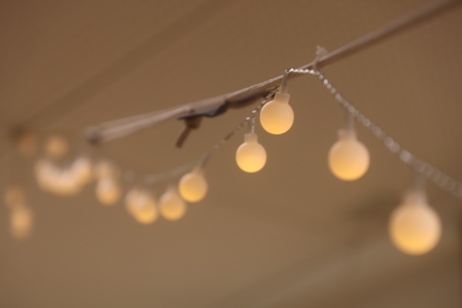 4/12(日) 花と写真会　にこまる