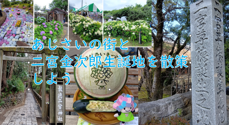 【あまり知らない小田原スポット】あじさいの街＋二宮金次郎生誕地を歩こう（説明・解説付）