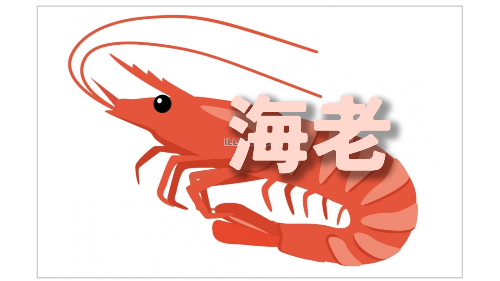 【40〜50代】今度は海老食べよう🦐
