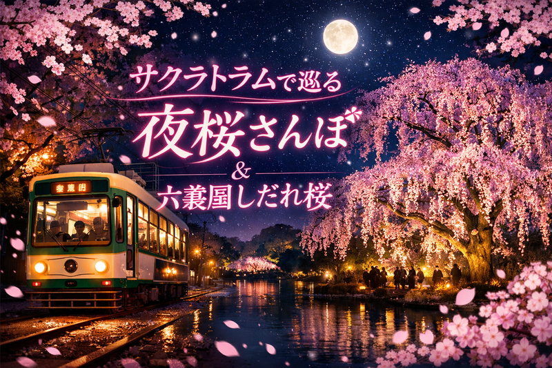 3/26【途中参加可】早稲田駅発🌸サクラトラムで巡る夜桜さんぽ＆六義園しだれ桜