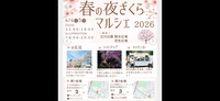 ✨イベント開催100回記念場所変更立川公園！写真好き必見・夜桜イベント