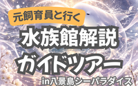 元･飼育員の八景島シーパラダイス解説ガイドツアー【満席につき追加開催】