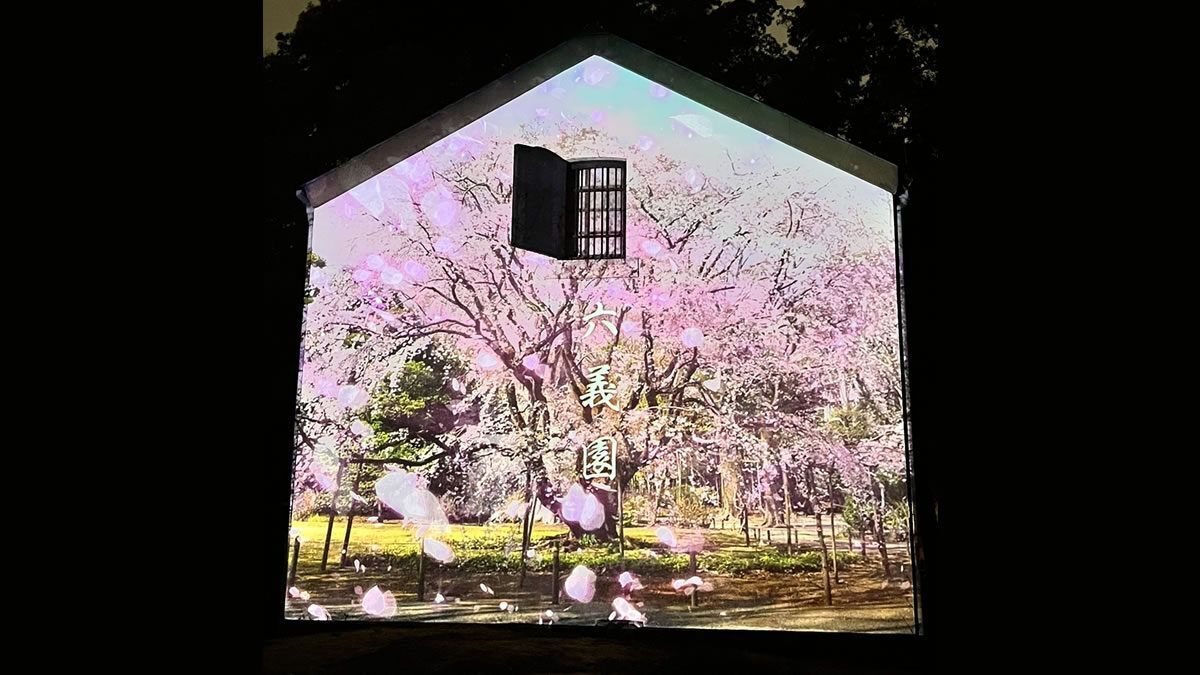 【最終日】🌸春夜の六義園｜幻想的なしだれ桜ライトアップさんぽ🌙✨
