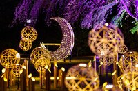 🌸高輪 桜まつり2026 お花見会🌸〜都会の日本庭園でゆったり春を楽しむ交流会〜