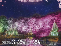 春のライトアップイベント肥後春景にいこう！熊本のPRや細川文化展も楽しみます