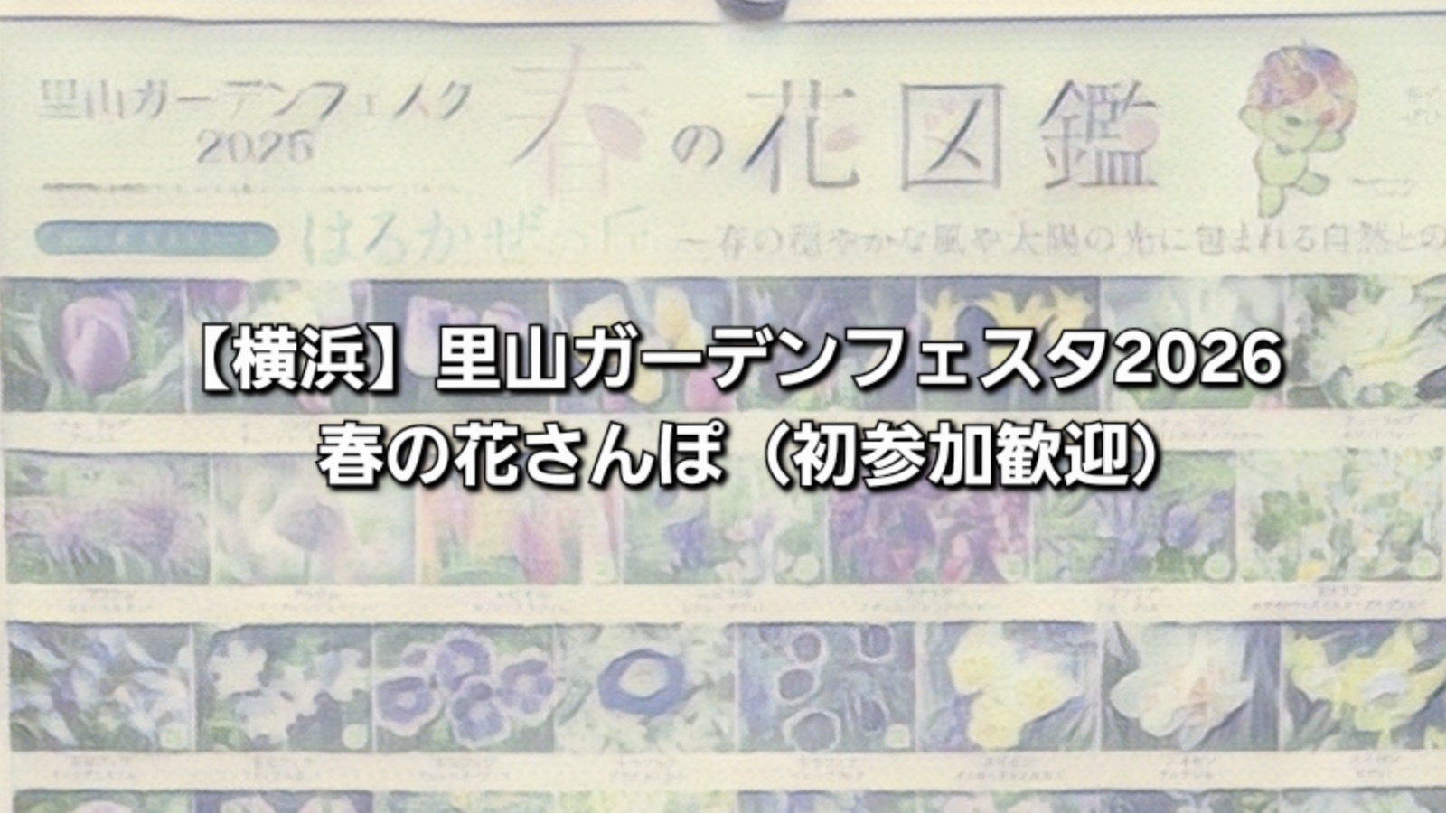 【横浜】里山ガーデンフェスタ2026🌸春の花ゆるさんぽ（初参加歓迎）
