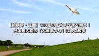 【相模原・座間】128畳の巨大凧が空を舞う！日本最大級の「大凧まつり」はしご散歩