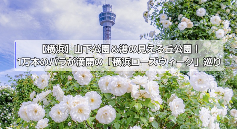 ​【横浜】山下公園＆港の見える丘公園！1万本のバラが満開の「横浜ローズウィーク」巡り