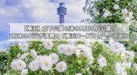 ​【横浜】山下公園＆港の見える丘公園！1万本のバラが満開の「横浜ローズウィーク」巡り