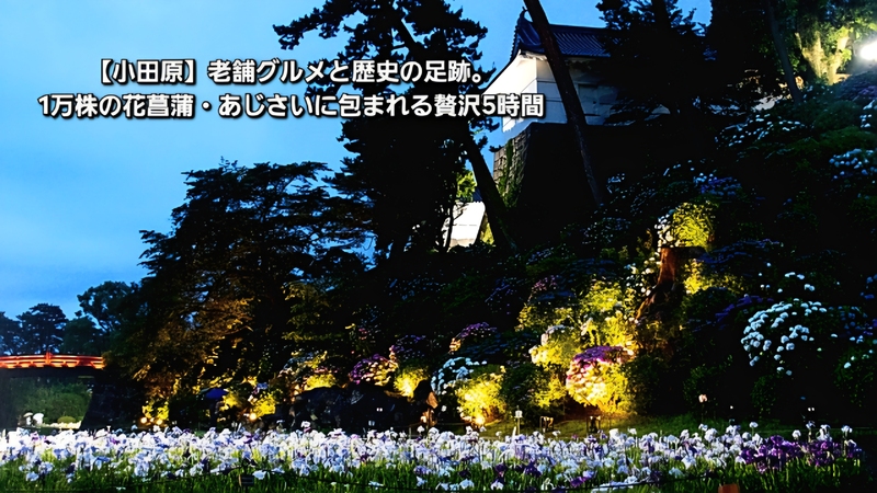 ​​【小田原】老舗グルメと歴史の足跡。1万株の花菖蒲・あじさいに包まれる贅沢5時間