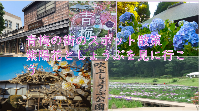【あじさいとしょうぶを楽しむ】青梅市内を歩こう（説明・解説付）