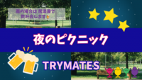 【公園で乾杯🍻】 会社帰りに夜のピクニック✨癒されましょう☺️🌱