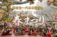 【男女共催】麻布台ヒルズから六本木ヒルズへ歩き、春まつりに出よう【歴史解説x食べ歩きx寺社巡り】