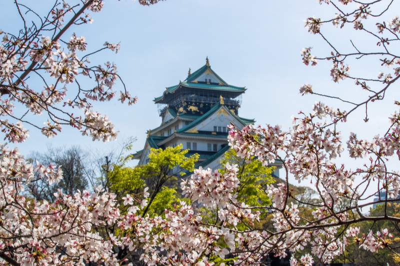 【大阪城桜】フォトウォークしませんか？🌸📸
