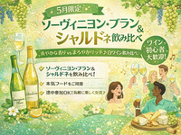 初心者歓迎✨ 白ワイン好き集合🍋 料理人厳選ワイン飲み会交流会　5月限定｜ソーヴィニヨン・ブラン＆シャルドネ特集
