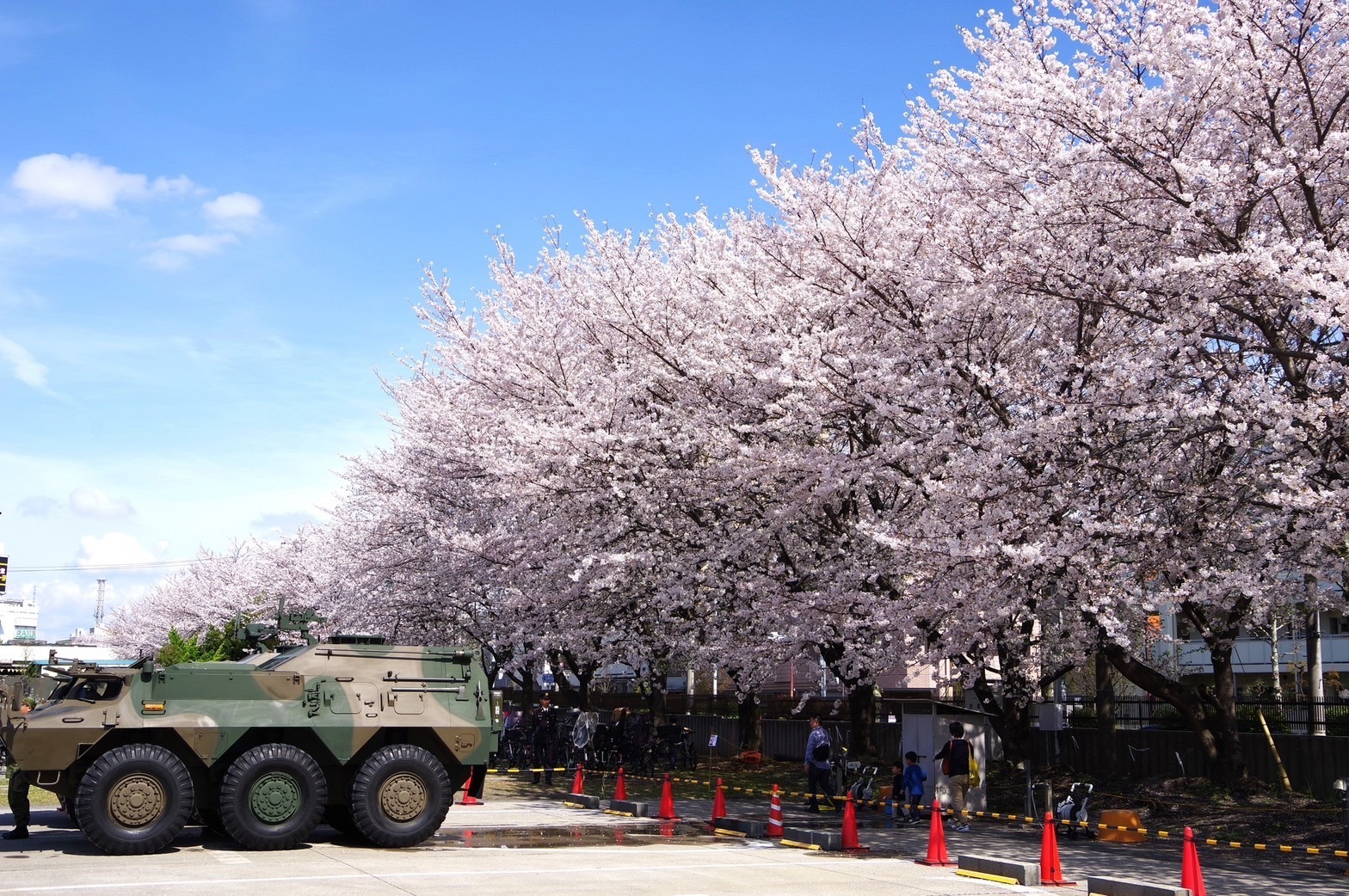 【30代・40代限定】陸上自衛隊の桜まつりに行ってみよう✨　自衛隊の体験ができます😊😊