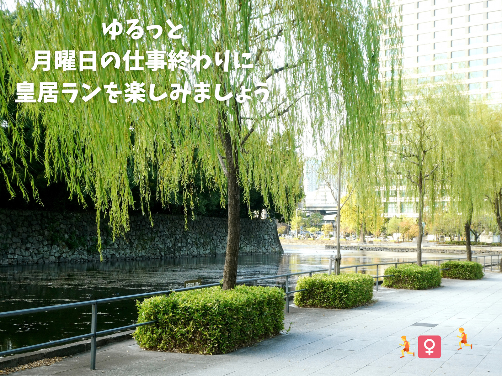 【3/22開催・東京皇居】月曜夜開催🏃‍♂️ゆるっと皇居ラン✨【手ぶらでOK】