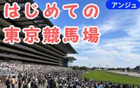 🐎はじめての競馬場体験✨芝生でピクニック×迫力レース✨男性満席