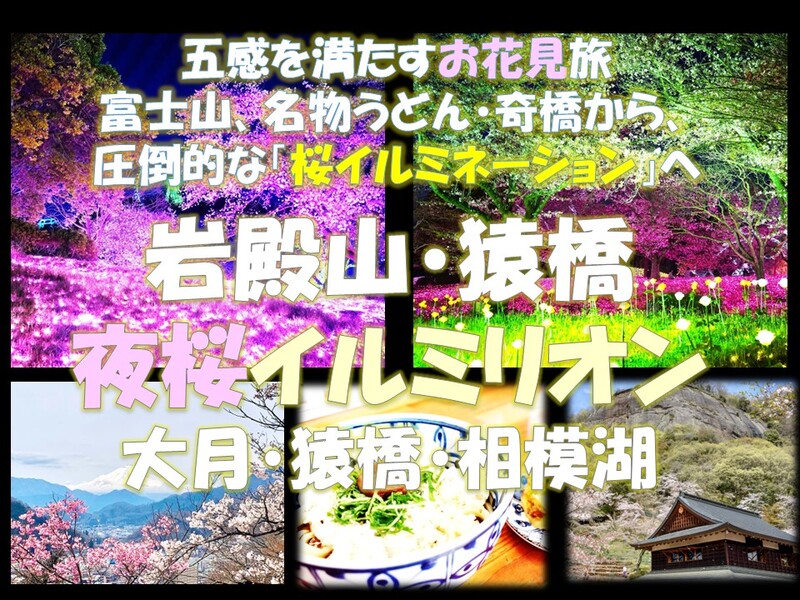 夜桜×イルミネーション！岩殿山・猿橋・夜桜イルミリオン　富士山、名物うどん・奇橋から夜桜イルミへ
