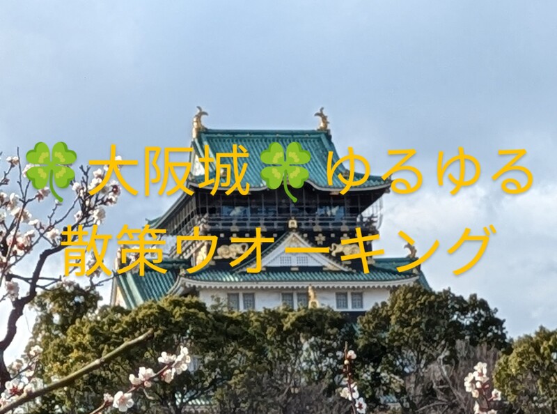 🏵️大阪城ゆるゆる散策ウォーキング