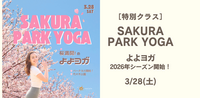 3/28(土)SAKURA PARK YOGA 桜開花！よよヨガ