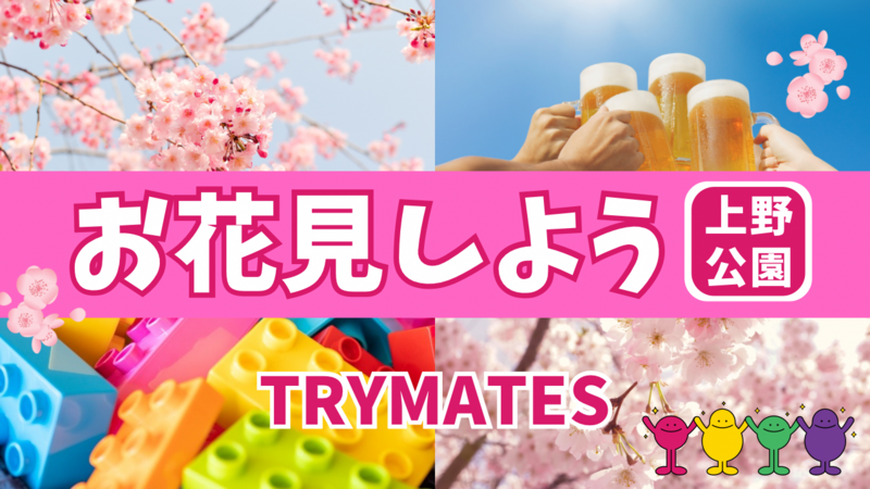 【お花見🌸】会社帰りに散歩＆乾杯しましょう🍡🍻