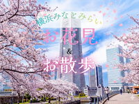 【横浜】お花見&お散歩🌸🍻横浜みなとみらい🌸3/29(日)14:00〜