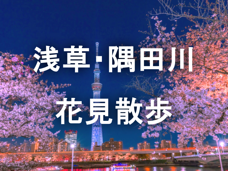 （早割無料）隅田川と隅田公園の夜桜を楽しむ散歩