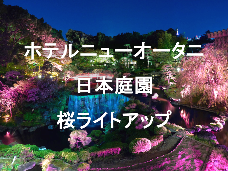（早割無料）ホテルニューオータニ日本庭園の桜ライトアップを見に行こう