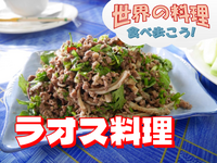 数少ないラオス料理店で本場のラオス料理を堪能しよう【世界の料理を食べ歩く会】