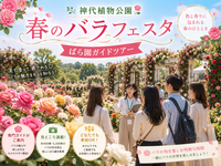 《ばら園ガイドツアー》ワイルドローズ、オールドローズ、モダンローズなど解説付きで楽しもう🌹
