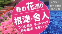 [根津〜日暮里〜舎人公園] 春の花巡り！つつじ祭り、ネモフィラライトアップ、途中で谷中銀座散策