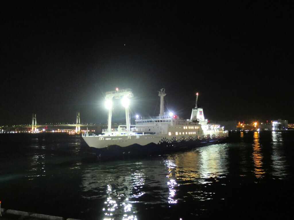 【30代中盤〜40代中心】横浜市イギリス館見学&中華街・山下公園散歩&東京湾夜景クルーズ