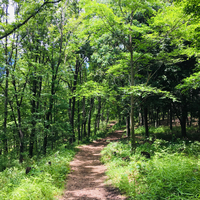 【立川】昭和記念公園内でジョギング ※初心者歓迎🔰