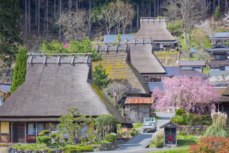 【ツーリング企画】京都・美山かやぶきの里に桜を見に行きませんか❓