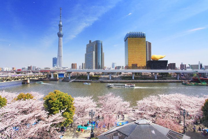 【4／5開催】浅草駅周辺🌸20代・30代限定！朝から隅田公園＆山谷堀公園 桜散歩イベント【人数限定】