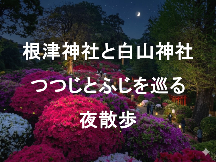 根津神社のツツジと白山神社のフジ、江戸の建築美が織りなす文京区の夜散歩🌺